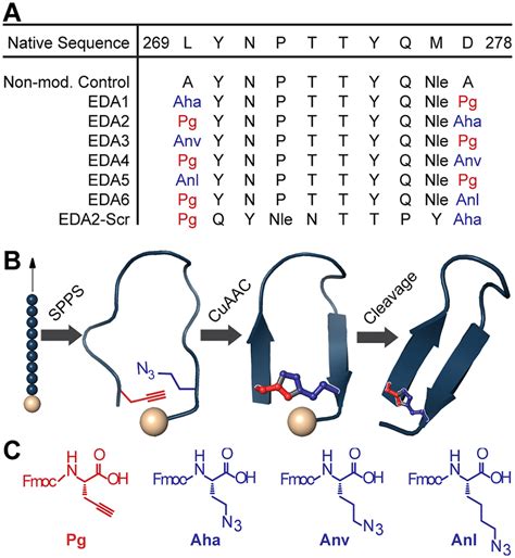 signal peptide   edna steele blog