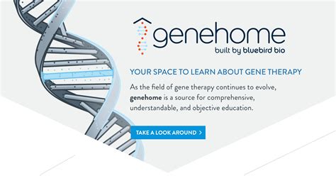 The Impact of Genetic Diseases