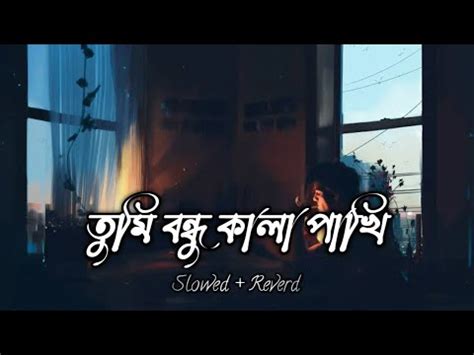 Tumi Bondhu Kala Pakhi তম বনধ কল পখ HAWA Chanchal