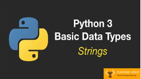 Python Basic Data Types Gampbank