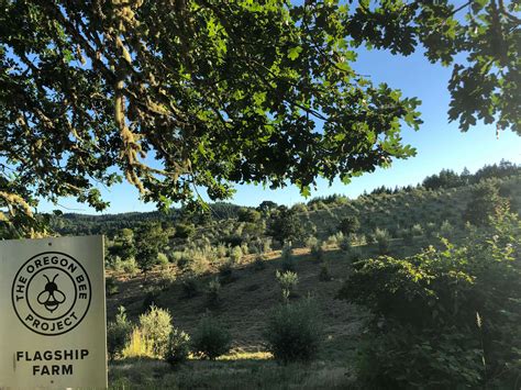 la creole hipcamp  oregon