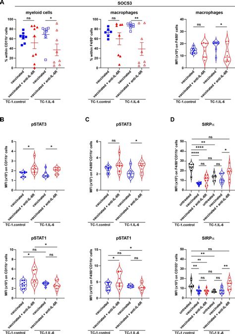 Il 6 Signaling In Macrophages Is Required For Immunotherapy Driven