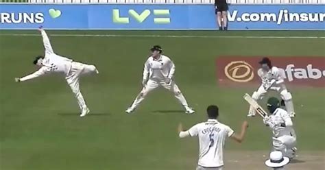 Watch Steve Smith Takes Yet Another Stunning Flying Catch At Slips