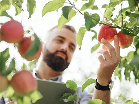 Obst Und Gem Se Lidl At