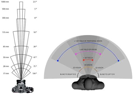 Pourquoi Utiliser Un Ultra Grand Angle Dude Oi