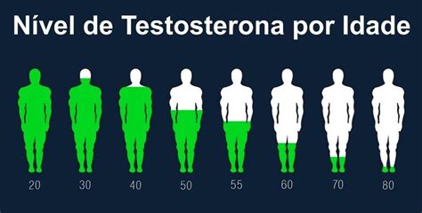 Nível De Testosterona Por Idade Nivel De Testosterona Testosterona