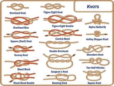 Zieglerworld Laminated Essential Knot Guide Basic And