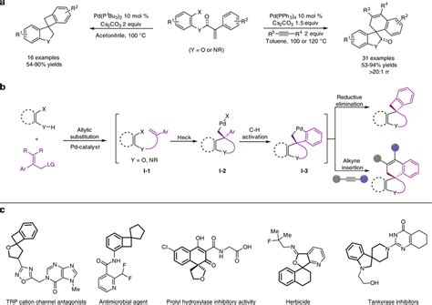 Concepts A Previous Work Palladium Catalyzed Intramolecular