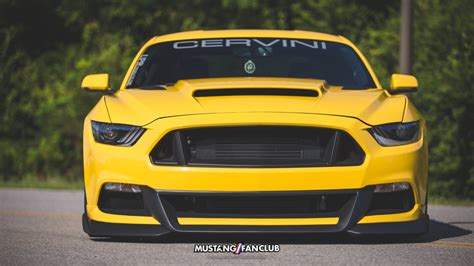 Cervini S Mustang Stalker Body Kit