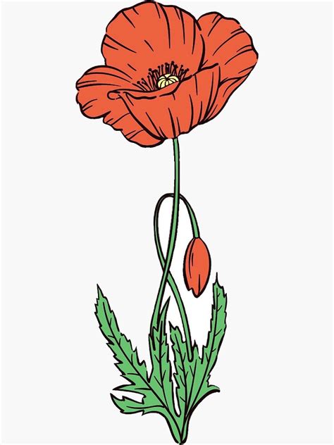 "August Birth Flower Poppy" Sticker for Sale by corneliaco | Redbubble