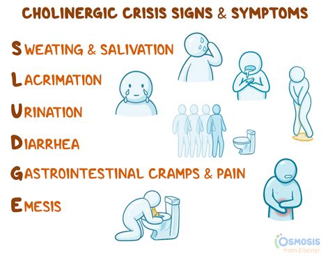 SLUDGE: Cholinergic Crisis Signs and Symptoms Acronym | Osmosis