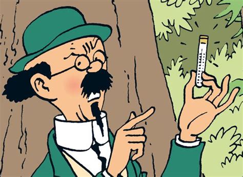 Les Aventures De Tintin Le Professeur Tournesol Professor Kalkyl