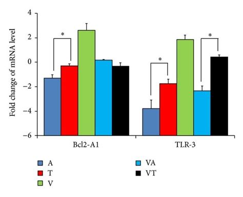 Effect Of Tsl On The Mrna Expressions Of A Vcam Icam