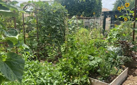 Vegetable Gardening in Arizona - Growing In The Garden