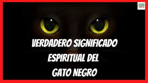 GATO NEGRO SIGNIFICADO ESPIRITUAL BRUJERÍA VS BUENA SUERTE Y