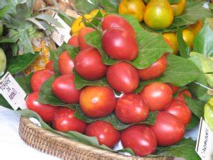 Diccionario Gastron Mico Ficha De Cocina De Tomate De Arbol Chef Uri