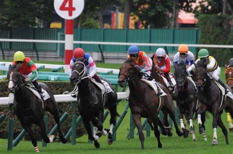 Jra：札幌競馬が開幕 夏の風物詩に歓声 写真特集44 毎日新聞