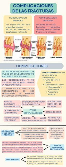 COMPLICACIONES DE LAS FRACTURAS Paloma Gutierrez UDocz