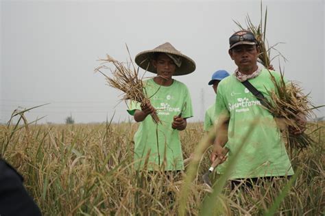 Sambutan Hangat Dari Kementan Ri Atas Kerja Sama Izi Dengan Lintasarta