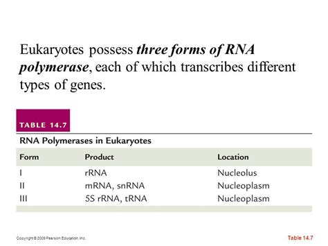 The Genetic Code And Transcription Ppt Download