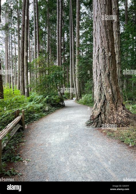 Rathtrevor Beach Trail Stock Photo Alamy