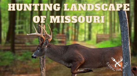 Hunting Season in Missouri - eatingthewild.com