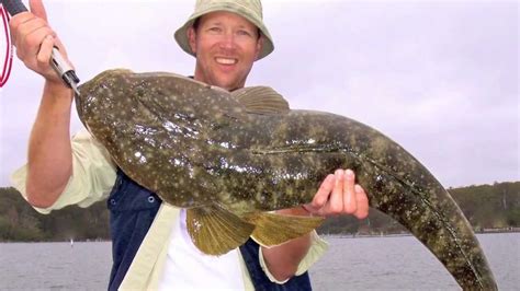 Flathead Fish Size Qld - Popular Century