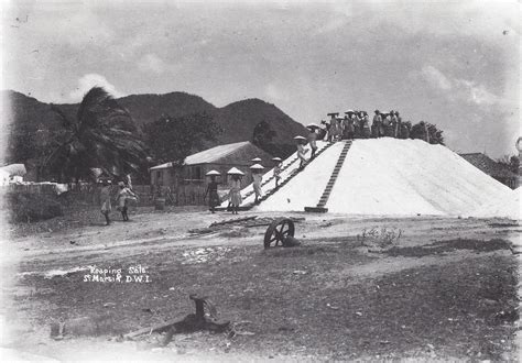 Salt Heap St Martin Image Collection