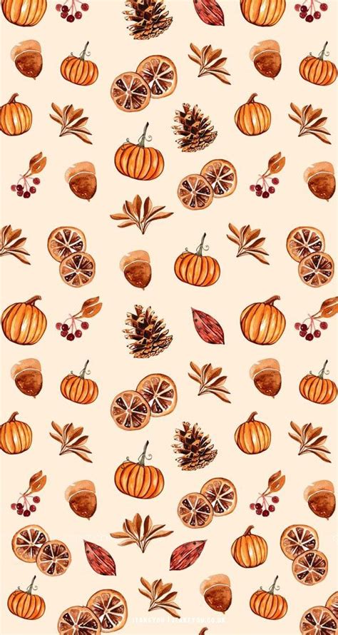 Cute Autumn Wallpaper Ideas Pumpkin Dried Orange Fall