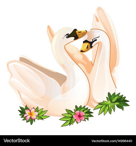 Two Swans In Love Tender Postcard Royalty Free Vector Image