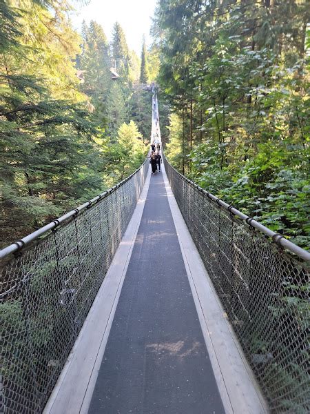 Capilano Suspension Bridge Park Hours - Today, Opening, Closing ...