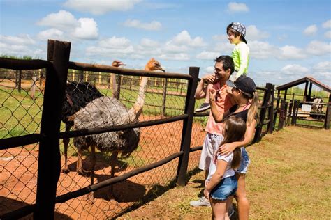 Parque aquático de Barretos promove dia de diversão para alunos da rede