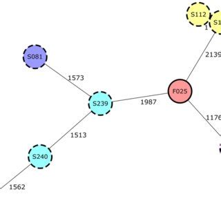 Minimum Spanning Tree Of Mcr Positive E Coli Isolates From Seven