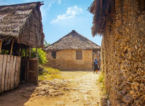 Typical Stone Houses In An African Village On Wasini Island It Is A