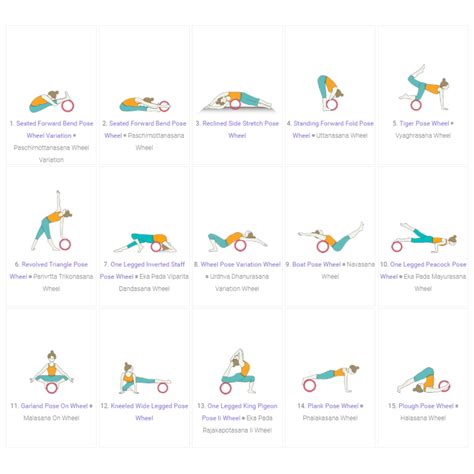 Discover more than 101 wheel pose yoga sequence best - nanoginkgobiloba.vn