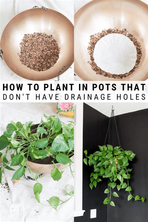 How To Plant In Pots Without Drainage Holes Easy Guide Plants