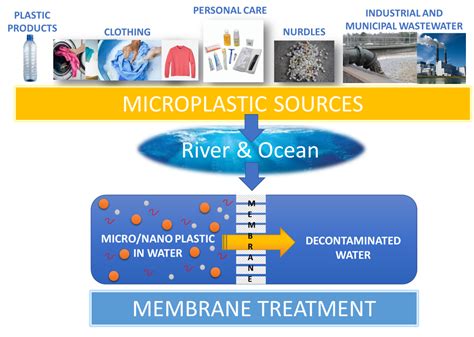 Molecules Free Full Text Membrane Processes For Microplastic Removal Html