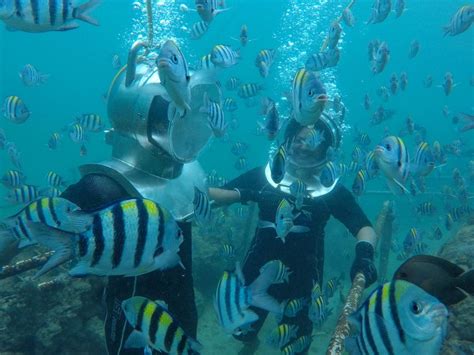 Nusa Dua Underwater Sea Walking Experience Getyourguide