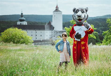 Burg Forchtenstein Auf Sunny At