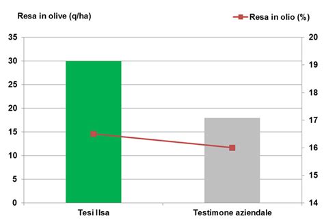 E Il Momento Di Biostimolare La Resa In Olio Dellolivo Cittadino