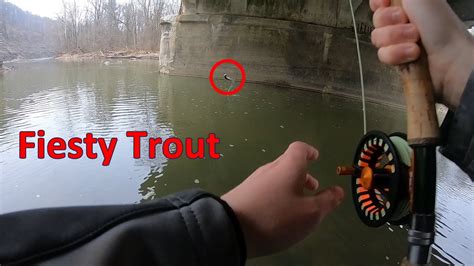 Winter Heat Wave Steelhead Fishing Youtube