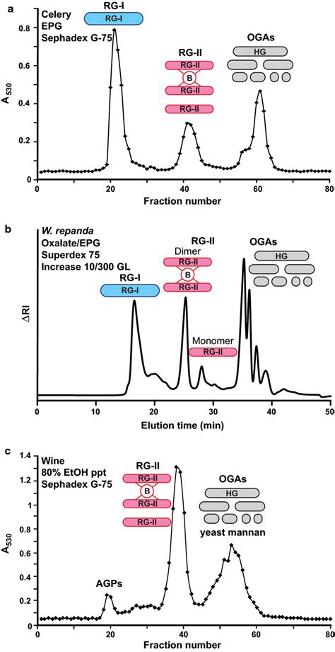 The Isolation And Glycosyl Sequence Of Rhamnogalacturonan Ii A