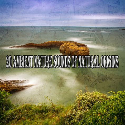 Ambient Nature Sounds Of Natural Origins Album By Outside