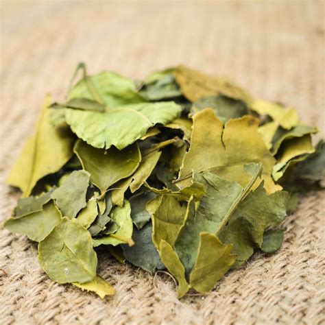 Kaffir Lime Leaves - Oaktown Spice Shop