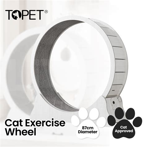 Cat Exercise Wheel Toy Running Exerciser Treadmill Scratcher Board