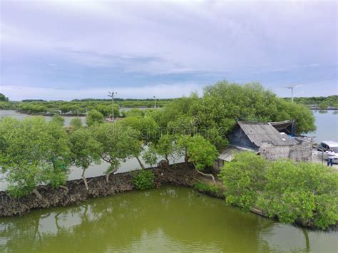 Mangrove Ponds In Mengare Gresik East Java Indonesia Stock Photo