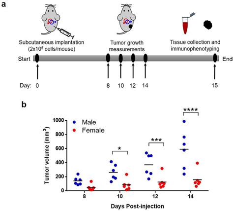 Sex Differences In The Association Between Tumor Growth And T Cell