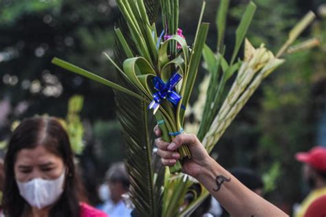 Linggo ng palaspas, Linggo ng pagpapakasakit | Catholic News ...