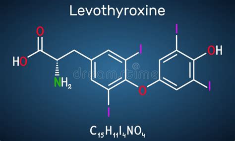 Levothyroxine L Thyroxine Molecule It Is Synthetic Form Of The