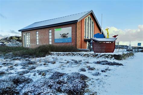 Zwischen Winter Und Fr Hling Schutzstation Wattenmeer